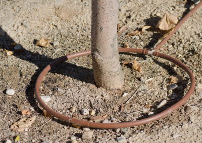 Lubbock Texas Landscape Design, Patio, Irrigation, Hardscapes, Ponds, Water Features, Outdoor Lighting, SOD, Commerical Landscape Services, Christmas Lighting