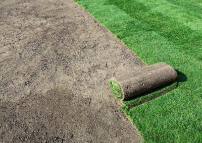 Lubbock Texas Landscape Design, Patio, Irrigation, Hardscapes, Ponds, Water Features, Outdoor Lighting, SOD, Commerical Landscape Services, Christmas Lighting