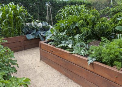 Lubbock Texas Landscape Design, Patio, Irrigation, Hardscapes, Ponds, Water Features, Outdoor Lighting, SOD, Commerical Landscape Services, Christmas Lighting